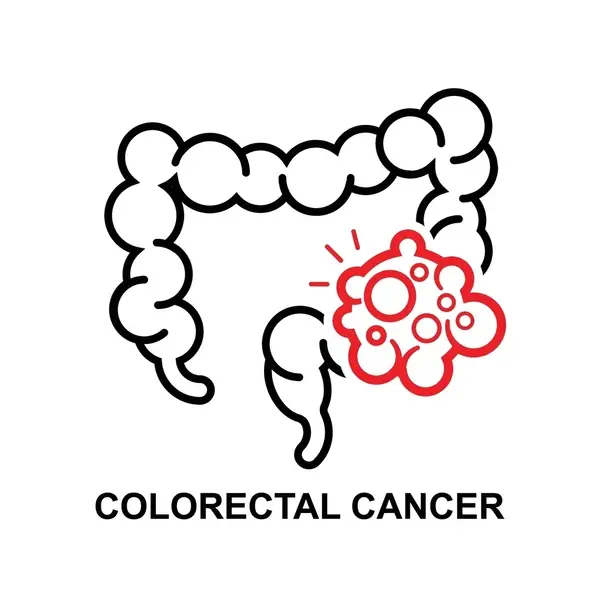 Rectal Bleeding Evaluation: Tests and Warning Signs